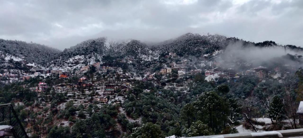 2Bhk Furnished Apartment/Near Kasauli/Barog/Luv Fun & Adventure Solan Exteriör bild