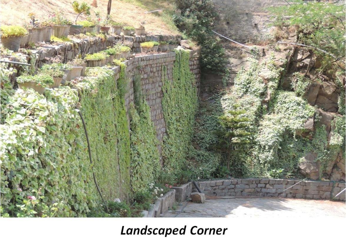 2Bhk Furnished Apartment/Near Kasauli/Barog/Luv Fun & Adventure Solan Exteriör bild